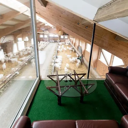 Apartament Urlaub Am Ziegenhof 