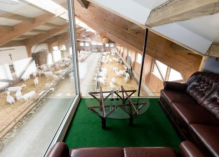 Apartament Urlaub Am Ziegenhof 